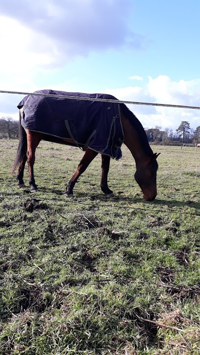 Stables De La Roche De Bran, Centre Equestres à Montamisé