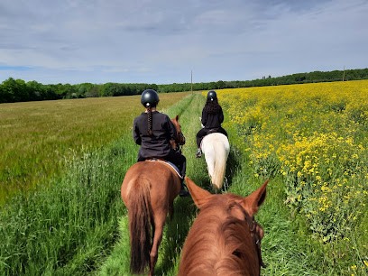 Les Écuries De La Livarderie, Centre Equestres à Bizou