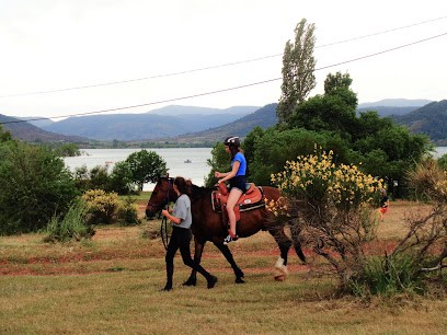 Viggo's Farm, Centre Equestres à Adissan