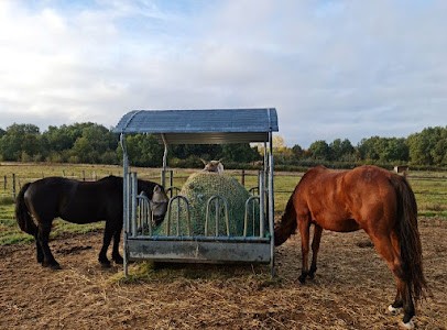 Les Ecuries du Blancher, Pension pour Chevaux à Castelnau-d'Estrétefonds