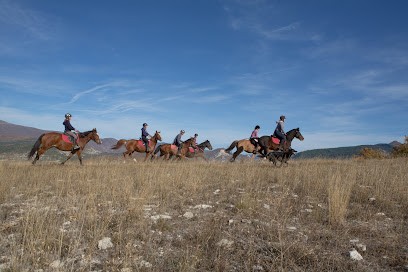 Equestrian Center De Condorcet, Centre Equestres à Condorcet