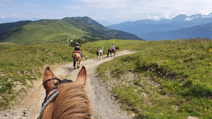 Les Chevaux Des Crêts Cheval À Laval En Belledonne, Centre Equestres à Laval